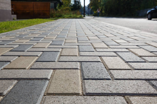 Best Driveway Pavers Contractor  in Mayer, MN