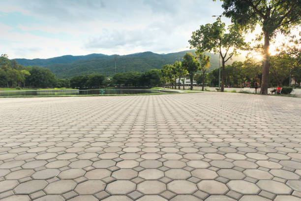 Best Cobblestone Driveway Pavers  in Mayer, MN