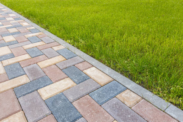 Best Residential Paver Driveway  in Mayer, MN